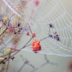 猎奇视频 o9gw5st